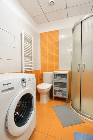 Pronájem bytu 1+kk, Brno, Hybešova, 34 m2