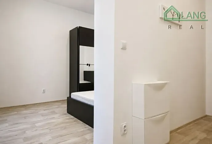 Pronájem bytu 1+1, Brno, Koliště, 30 m2