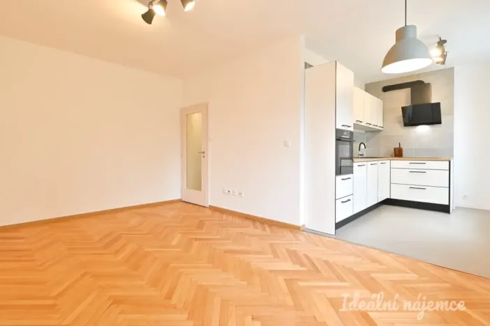 Pronájem bytu 2+kk, Brno, Družstevní, 53 m2