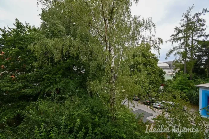 Pronájem bytu 2+kk, Brno, Družstevní, 53 m2