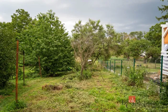 Prodej rodinného domu, Hrušovany u Brna, Vodní, 1000 m2