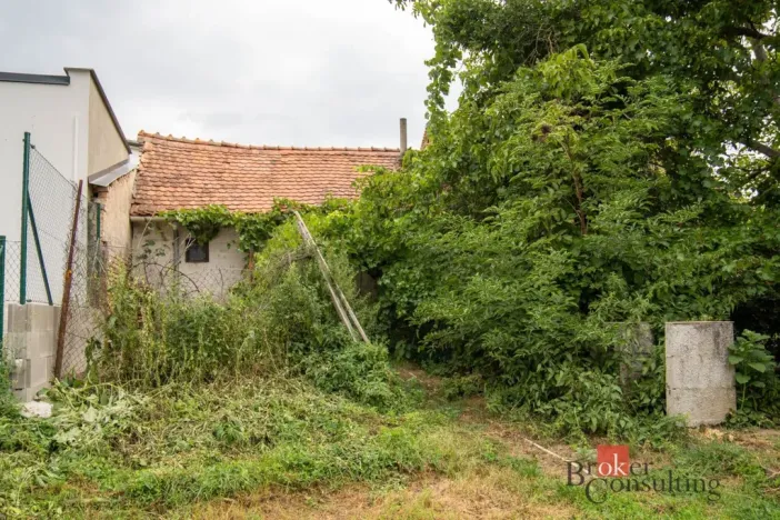 Prodej rodinného domu, Hrušovany u Brna, Vodní, 1000 m2