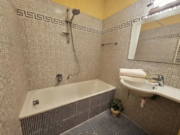 Pronájem bytu 1+kk, Praha - Vinohrady, Rejskova, 40 m2