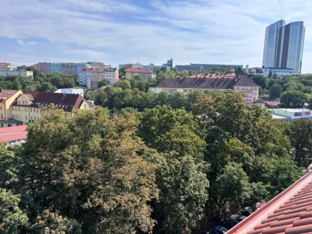 Pronájem bytu 1+kk, Praha - Vinohrady, Rejskova, 40 m2