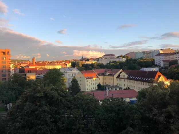 Pronájem bytu 1+kk, Praha - Vinohrady, Rejskova, 40 m2