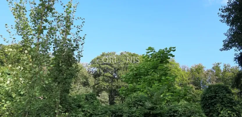 Prodej bytu 3+1, Česká Lípa, Boženy Němcové, 75 m2