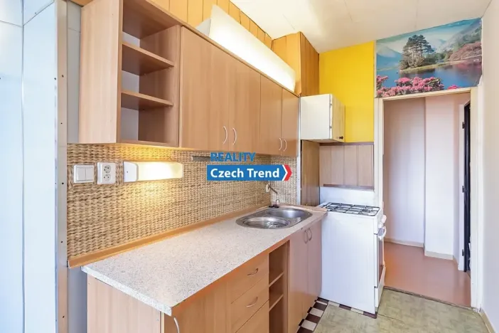 Pronájem bytu 1+1, Olomouc, Foerstrova, 43 m2