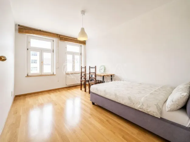 Pronájem bytu 5+kk, Praha - Žižkov, Hartigova, 200 m2