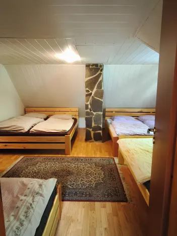 Prodej chalupy, Staré Město pod Landštejnem, 107 m2
