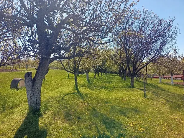 Prodej rodinného domu, Bojkovice, 190 m2