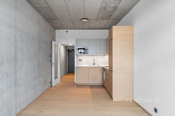 Pronájem bytu 1+kk, Praha - Vysočany, Kolbenova, 33 m2