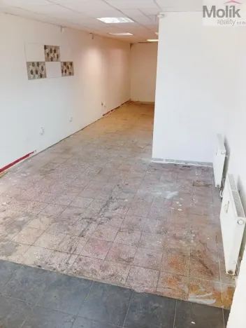 Prodej obchodního prostoru, Most, Šeříková, 39 m2