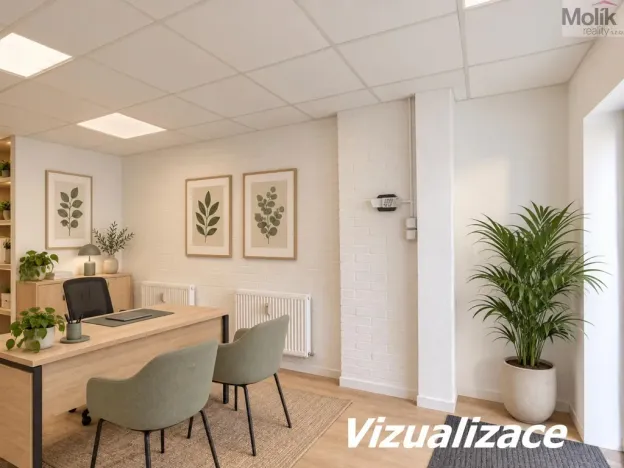 Prodej obchodního prostoru, Most, Šeříková, 39 m2