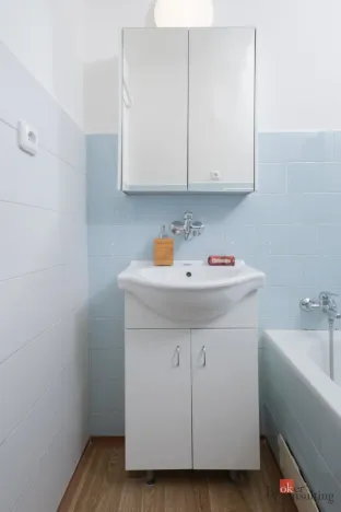 Pronájem bytu 1+1, Ostrava - Přívoz, Newtonova, 42 m2