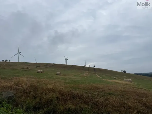 Prodej pozemku pro bydlení, Nová Ves v Horách, 3241 m2
