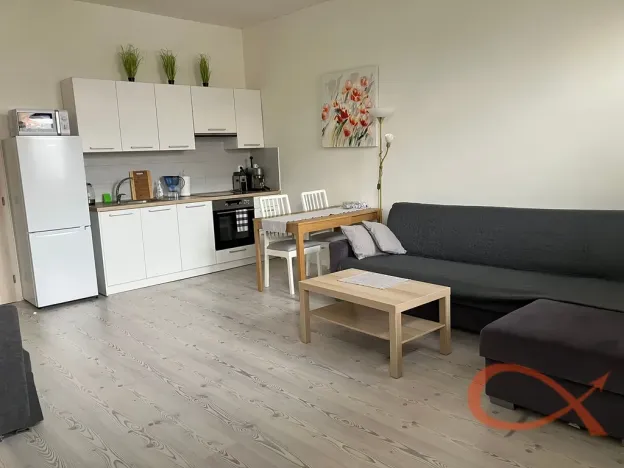 Pronájem bytu 1+kk, Prostějov, Winklerova, 39 m2