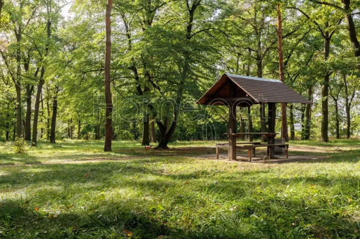Pronájem bytu 2+kk, Milovice - Mladá, Višňová, 39 m2