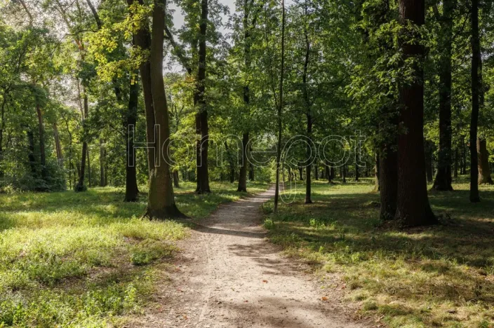 Pronájem bytu 2+kk, Milovice - Mladá, Višňová, 39 m2