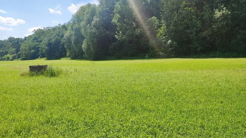 Prodej pozemku pro bydlení, Vyškov - Opatovice, 670 m2