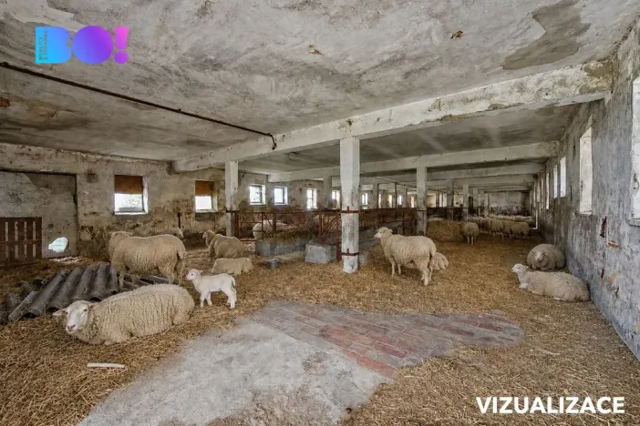 Prodej zemědělského objektu, Vícenice, 5810 m2