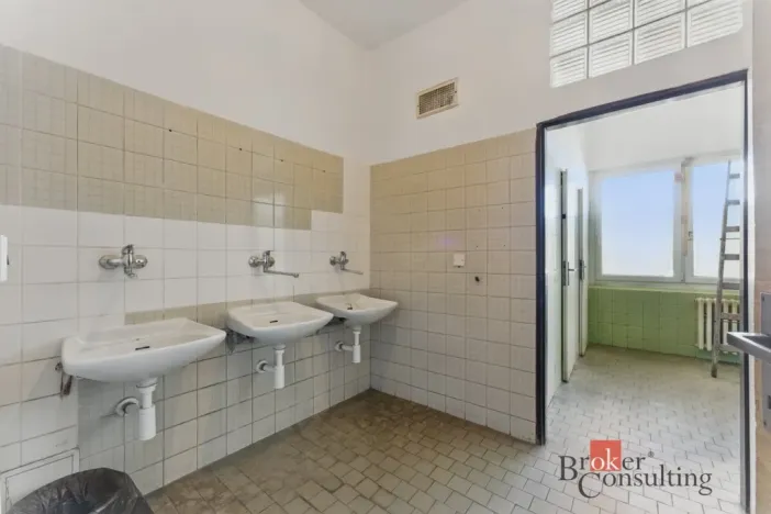 Pronájem výrobních prostor, Hradec Králové - Slezské Předměstí, Výrobní, 1059 m2