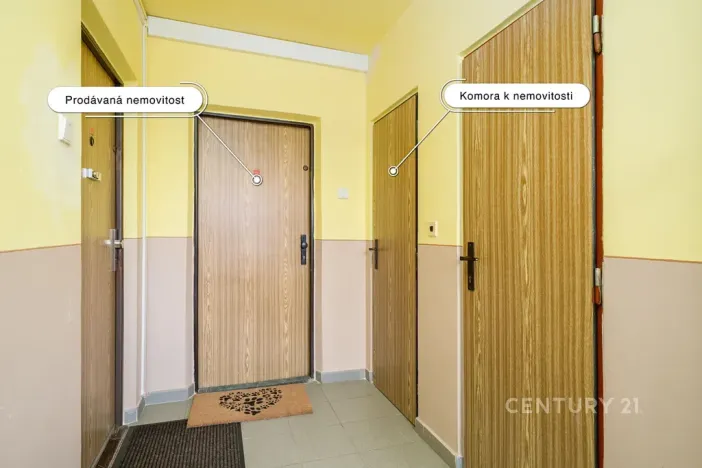 Prodej bytu 2+kk, Teplice, V závětří, 41 m2