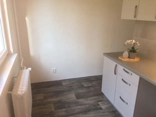 Pronájem bytu 1+1, Ostrava - Zábřeh, Průkopnická, 40 m2