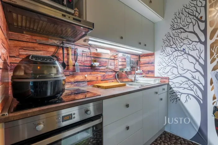 Prodej bytu 1+kk, Šakvice, Hlavní, 31 m2
