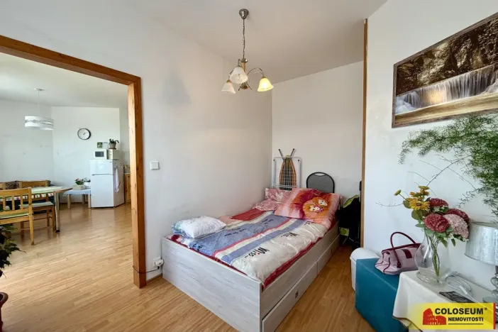 Prodej bytu 1+1, Znojmo, 37 m2