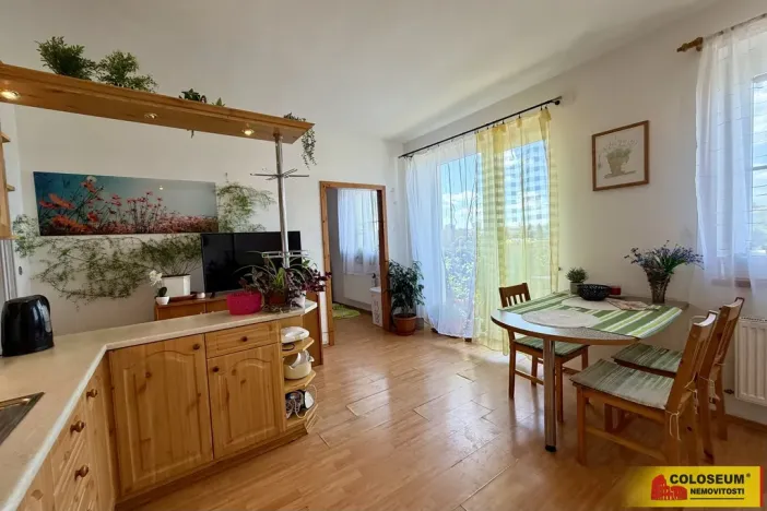 Prodej bytu 1+1, Znojmo, 37 m2