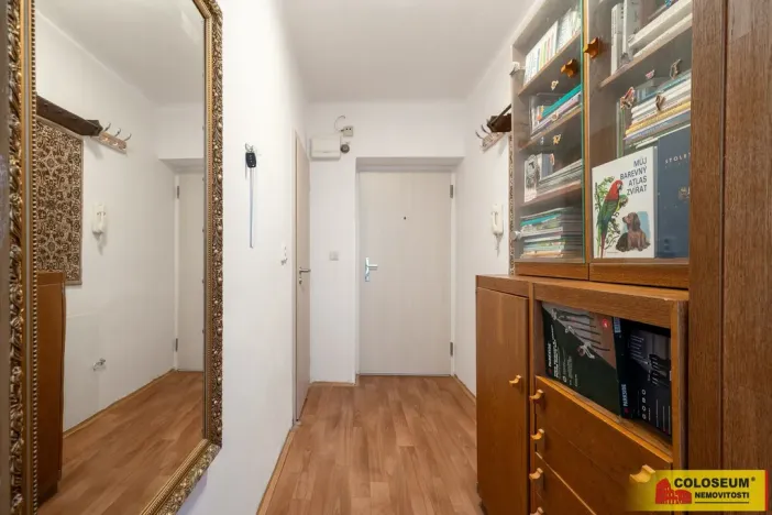 Prodej bytu 1+1, Brno, Skácelova, 45 m2