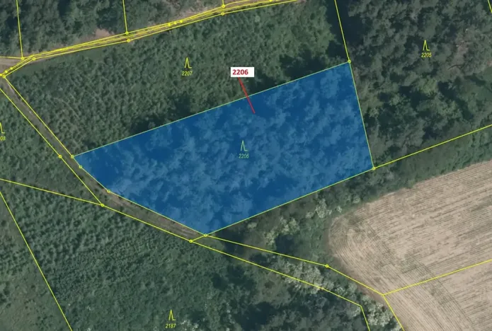 Dražba lesa, Louňovice pod Blaníkem, 4560 m2