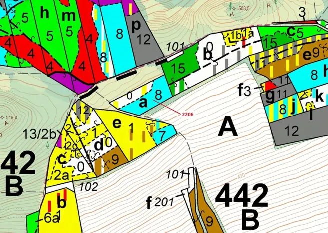 Dražba lesa, Louňovice pod Blaníkem, 4560 m2