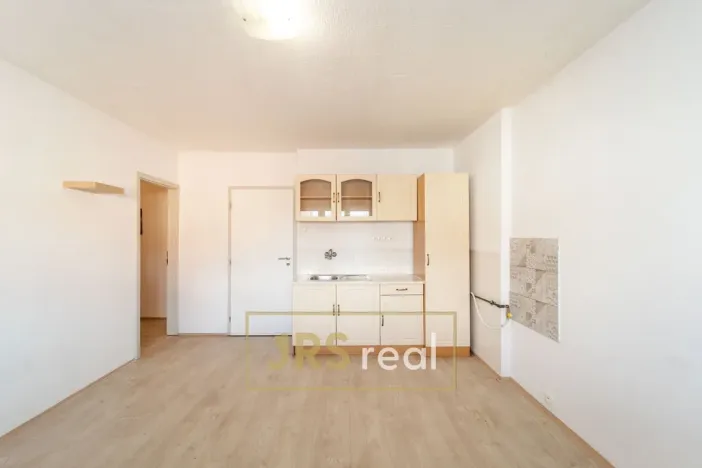 Prodej bytu 1+1, Brno - Veveří, 54 m2