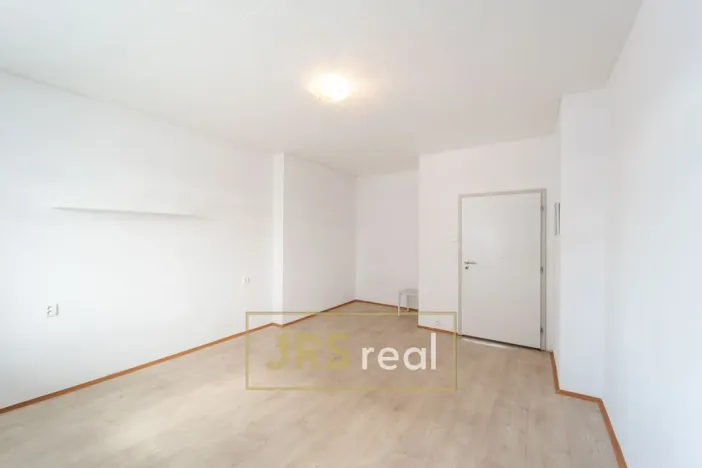Prodej bytu 1+1, Brno - Veveří, 54 m2