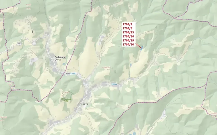 Dražba lesa, Trnava, 10498 m2