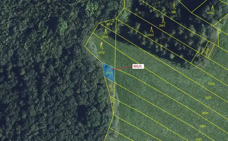 Dražba lesa, Jenišovice, 92 m2