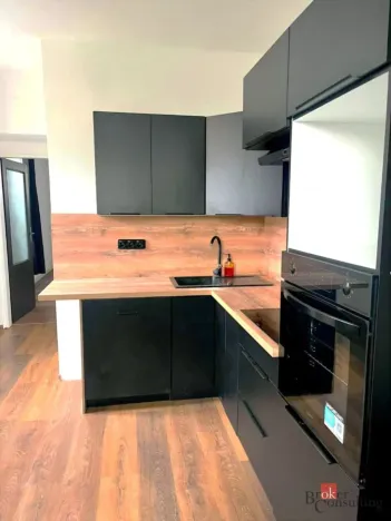 Pronájem bytu 1+kk, Děčín - Děčín I-Děčín, Zámecká, 43 m2