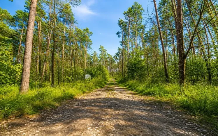 Prodej pozemku pro bydlení, Hradištko, Kersko, 4428 m2