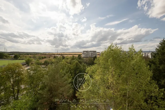 Prodej bytu 2+1, Plzeň, Terezie Brzkové, 58 m2