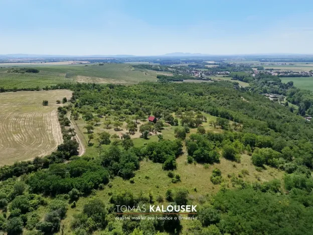 Prodej sadu/vinice, Dolní Kounice, 2107 m2