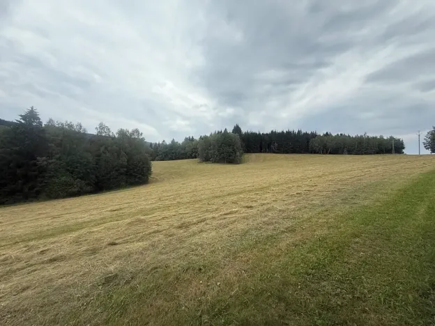 Prodej louky, Hamry, 84928 m2