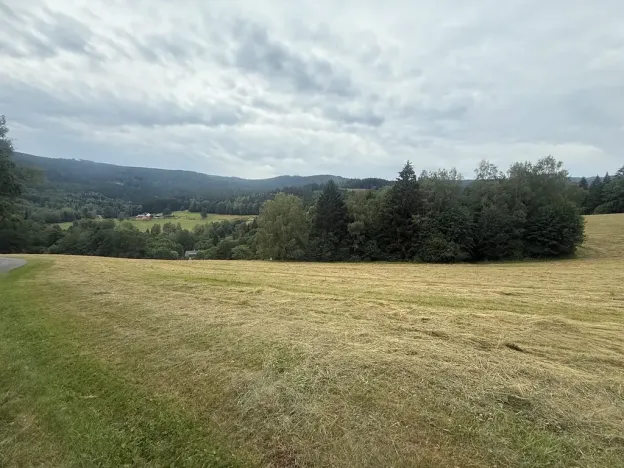 Prodej louky, Hamry, 84928 m2