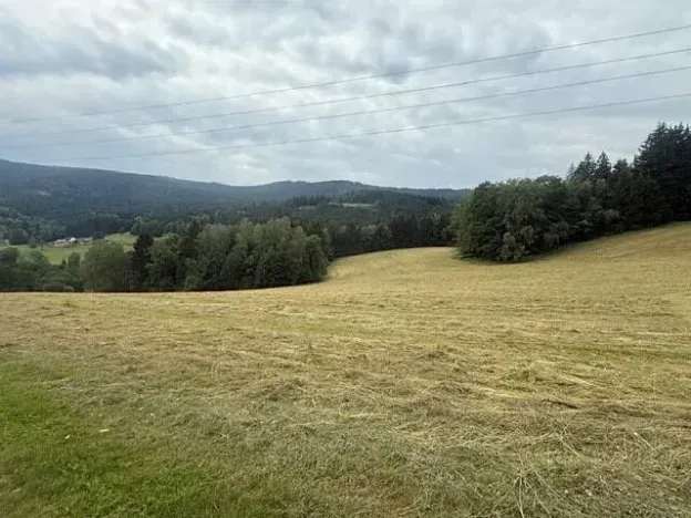 Prodej louky, Hamry, 84928 m2