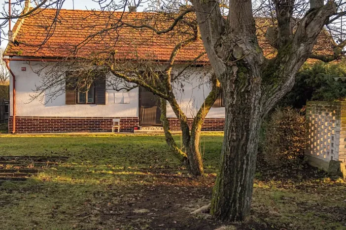 Prodej chalupy, Žákava, 100 m2
