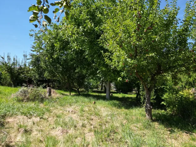 Prodej rodinného domu, Starý Plzenec, Heydukova, 68 m2