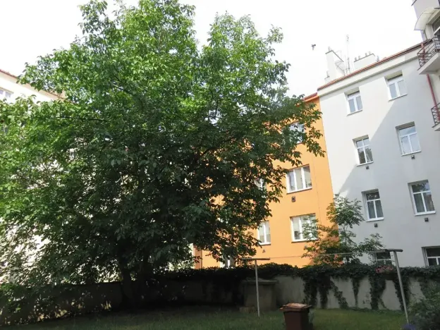 Prodej bytu 1+1, Praha - Libeň, Vosmíkových, 65 m2