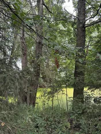 Prodej podílu pozemku, Kojice, 604 m2