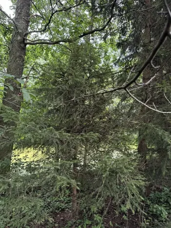 Prodej podílu pozemku, Kojice, 604 m2