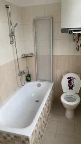 Pronájem bytu 1+kk, Turnov, Palackého, 27 m2